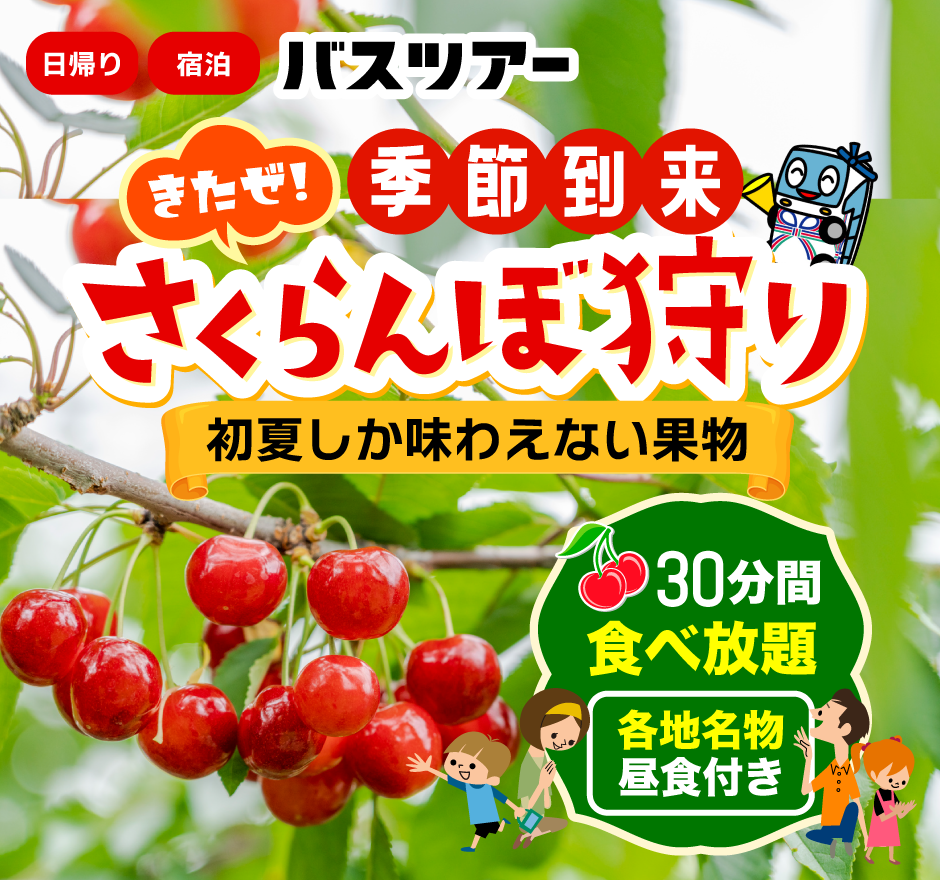 日帰り宿泊 バスツアー さくらんぼり守り 初夏しか味わえない果物 30分間食べ放題 各地名物 昼食付き