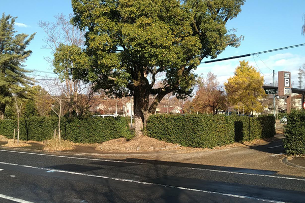 各務原市民公園<br>駐車場前