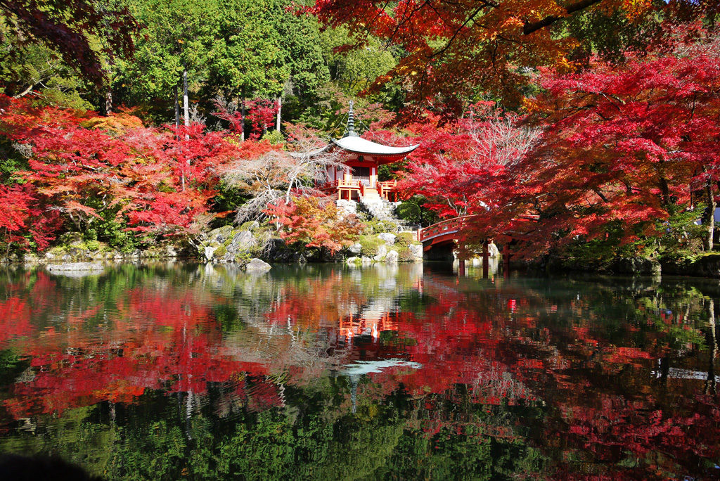 日帰り/東福寺 通天橋から望む紅葉と醍醐寺 (一宮・木曽川・津島ルート）