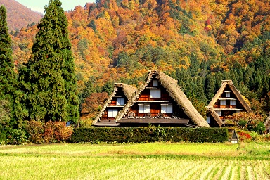 日帰り/飛騨高山＆世界遺産　白川郷散策　(自由食プラン)