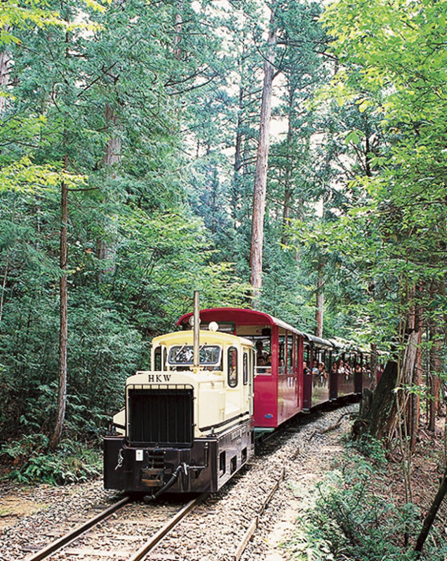 ～癒しの森林セラピーでリフレッシュ～赤沢森林鉄道に乗ろう！