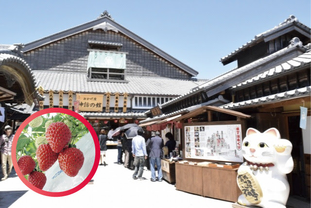 【全国旅行支援】[日帰り]伊勢神宮初詣といちご狩り🎫地域限定クーポン最大￥2,000