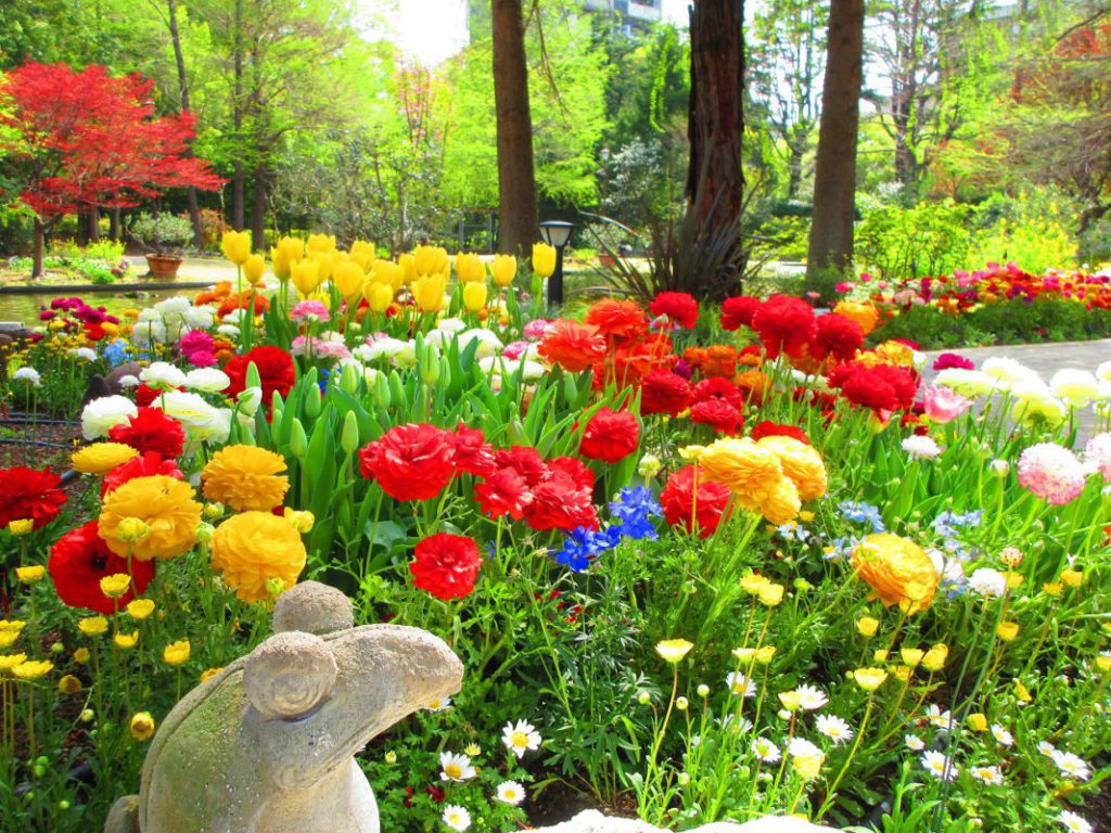 [日帰り]花と緑の庭園フラリエdeランチと爲三郎記念館