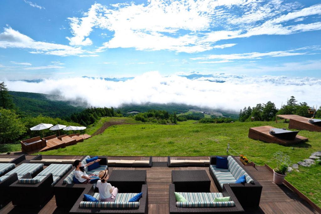 【全国旅行支援】山梨さくらんぼ狩りと標高約1900ｍの絶景　清里テラス	🎫地域限定クーポン最大¥2,000分