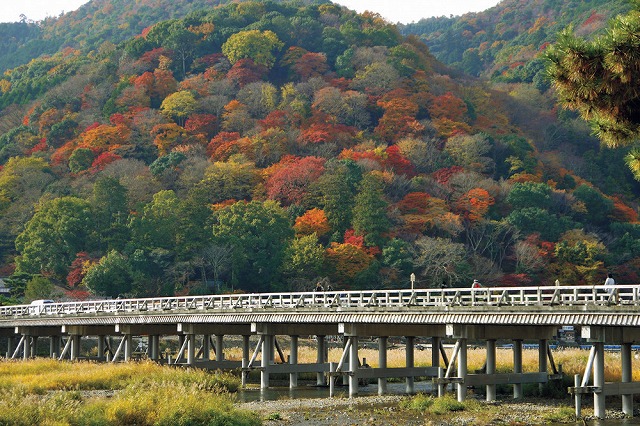 [日帰り]秋の気配を感じながら京都・高雄から嵯峨野・嵐山まで歩こう
