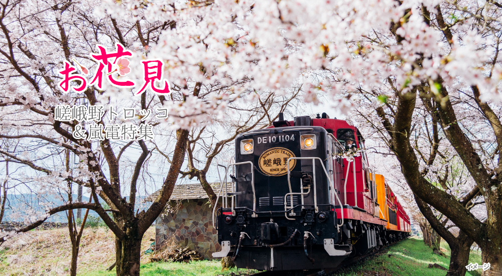 [日帰り] 嵯峨野トロッコ列車特集〜🌸お花見４コース🌸