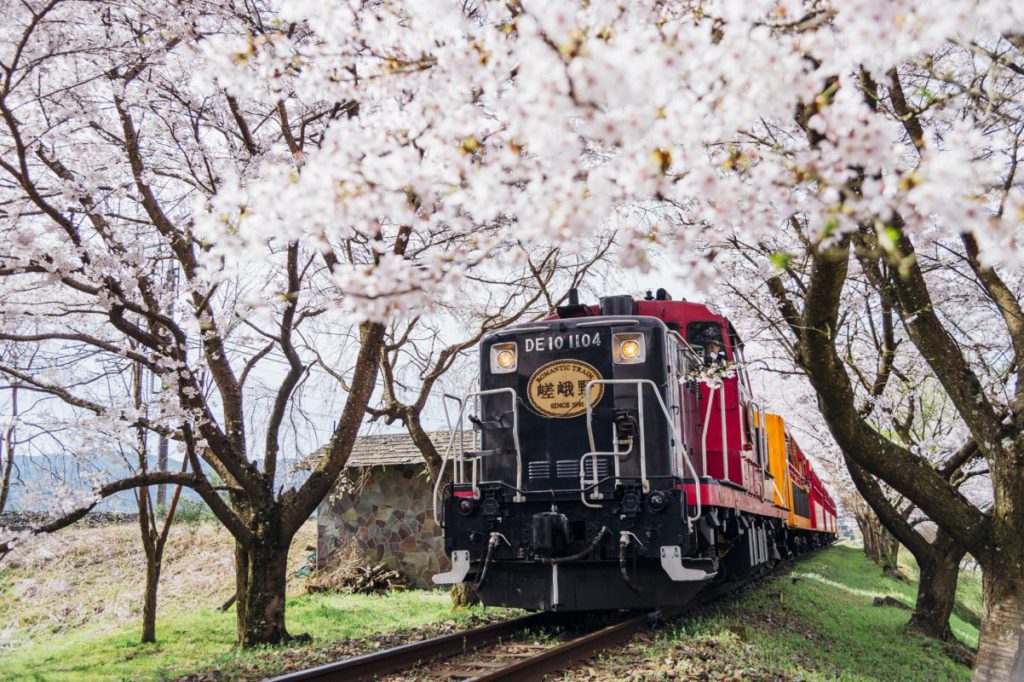 [日帰り]嵯峨野トロッコ列車＆嵐電と世界遺産 二条城