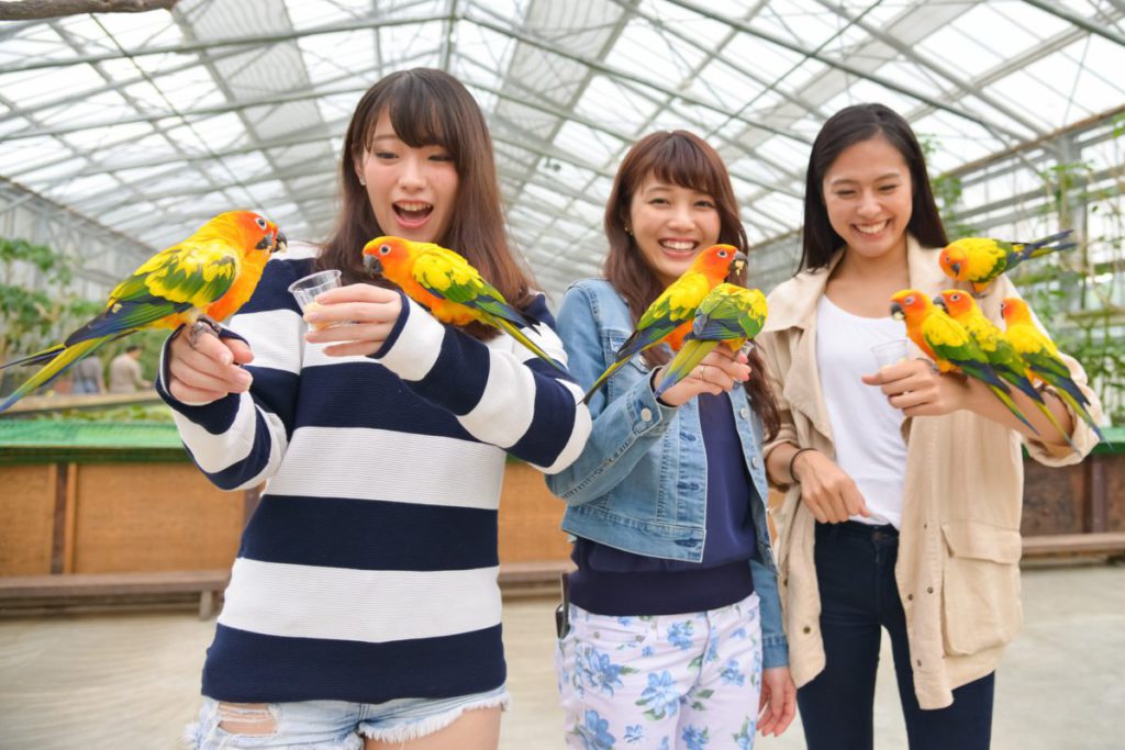 【全国旅行支援】めちゃもりin静岡🎀２㌽　🎫地域限定クーポン最大¥2,000分