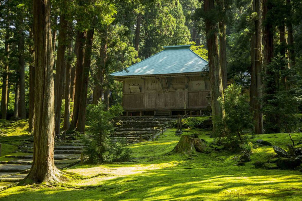 【全国旅行支援】平泉寺白山神社から越前大仏まで歩こう🎫地域限定クーポン¥1,000分