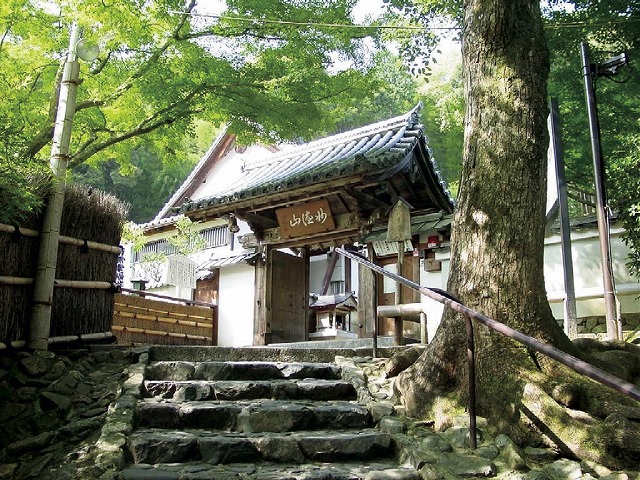 日帰り🚍京都　英国村と鈴虫寺 ２㌽