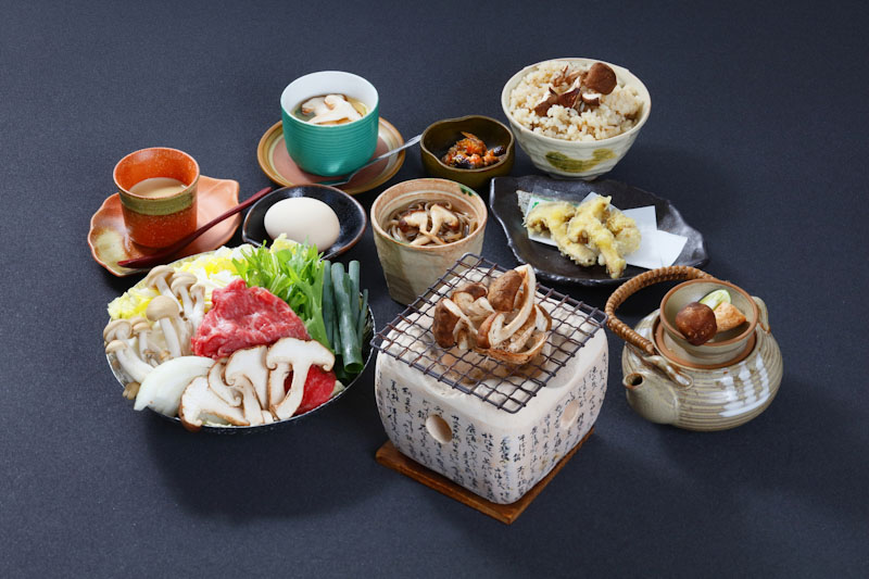 日帰り/信楽　松茸8品会席と選べる絵付け体験