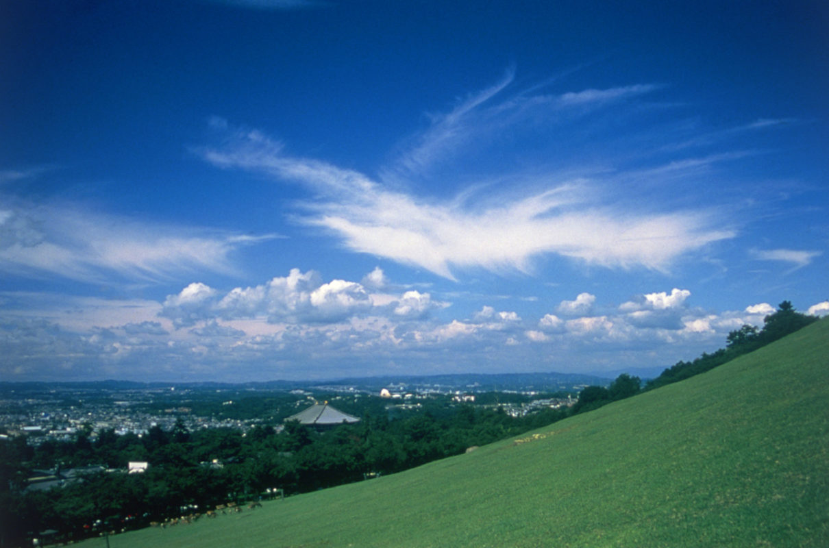 日帰り/若草山から奈良公園を歩こう
