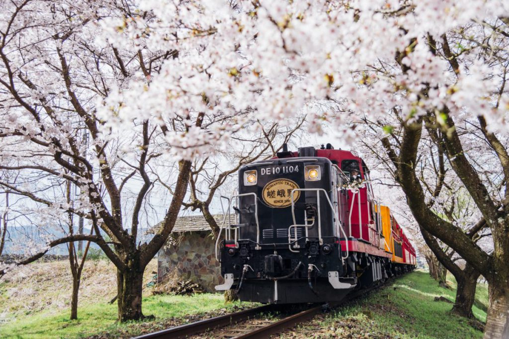 日帰り/嵯峨野トロッコ列車と源氏物語ゆかりの渉成園・清涼寺（名古屋）