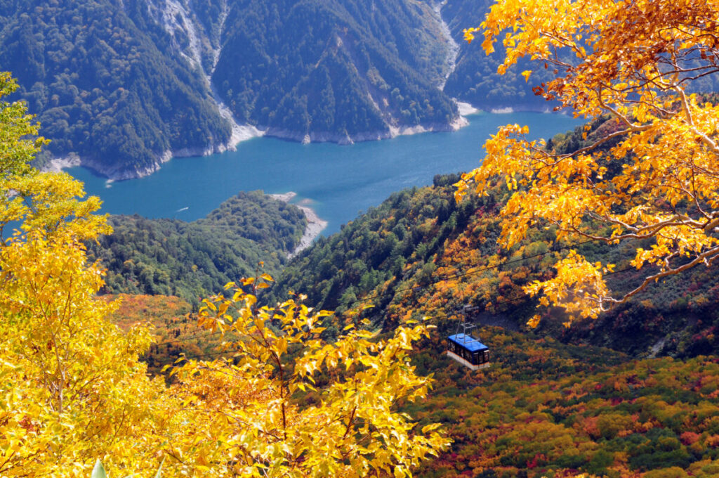 宿泊/立山黒部アルペンルート通り抜け