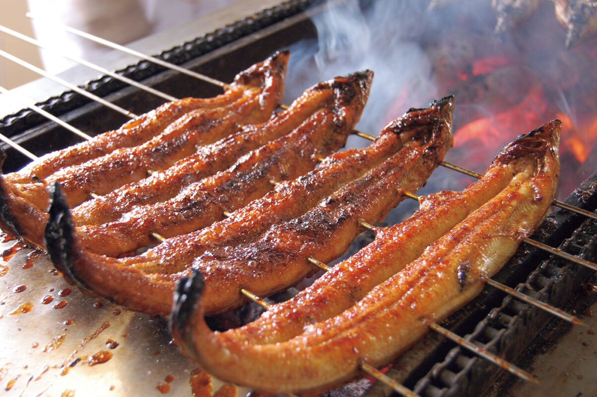 日帰り/愛知　”炭火手焼き三河産うなぎ”とぶどう狩り