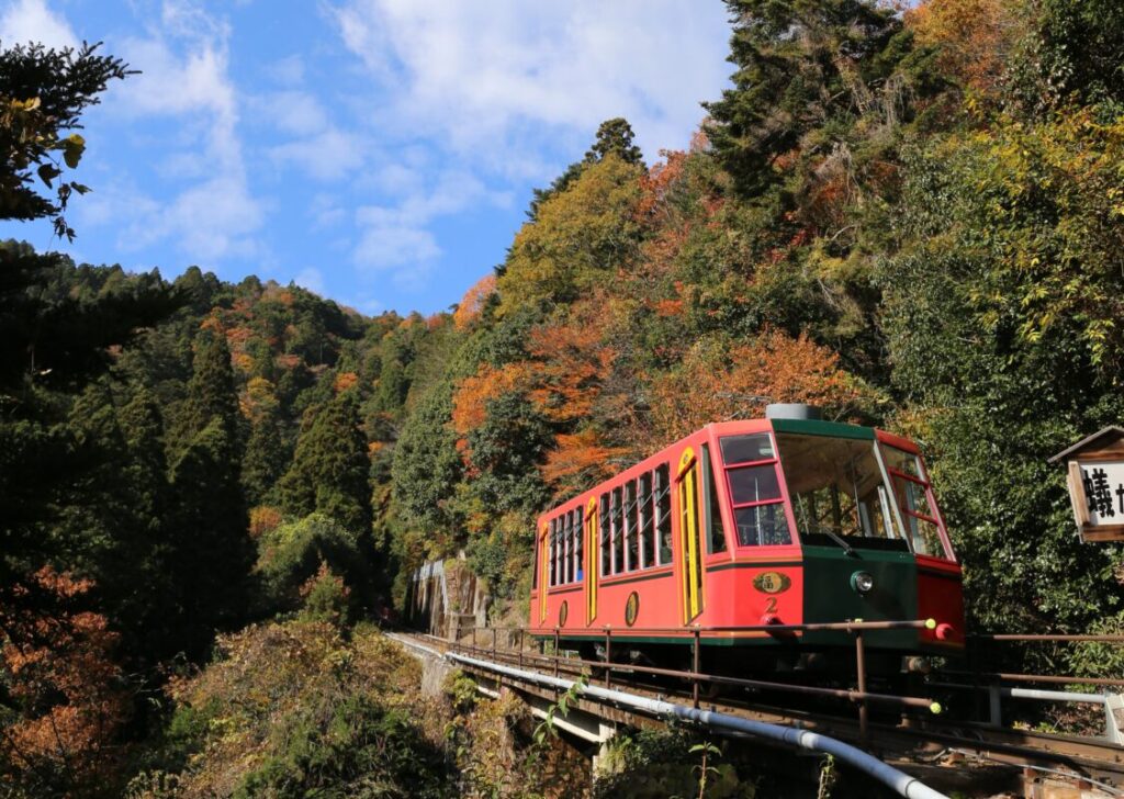 日帰り/≪ハイキングツアー≫ 紅葉に染まる坂本から比叡山延暦寺を歩こう