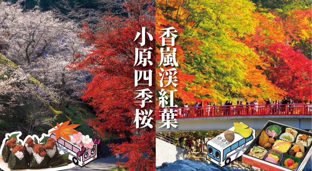 日帰り/香嵐渓紅葉と小原の四季桜の競演（★名古屋発は１名から催行確定★）
