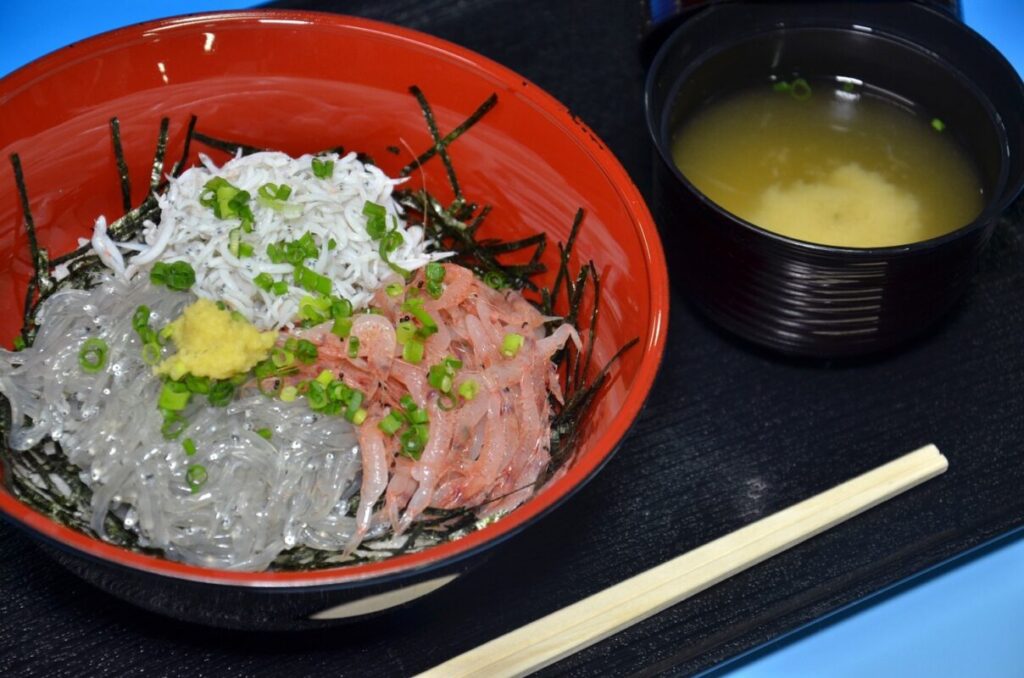 日帰り/静岡 駿河湾名物!!しらすと生桜えびの３色丼と世界遺産めぐり（名古屋・岡・豊刈）