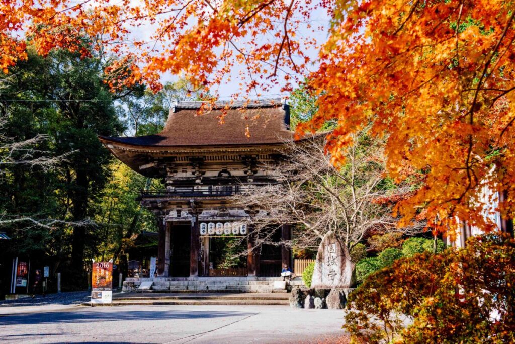 日帰り/ 宇治散策と紅葉の名刹　醍醐寺と三井寺（名古屋・一・春）