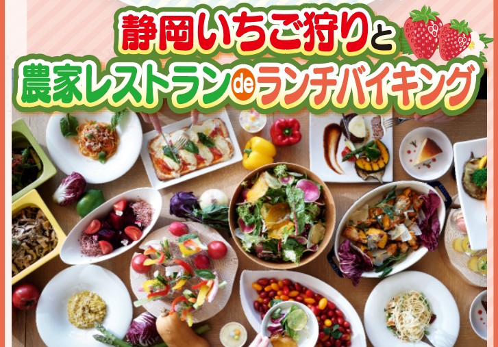 日帰り/静岡いちご狩りと農家レストランdeランチバイキング