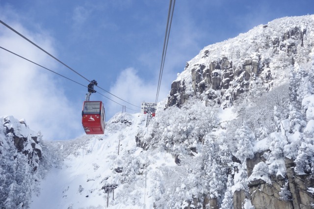 日帰り/信楽高原鉄道＆冬景色の御在所ロープウェイへＧＯ！🎀2㌽