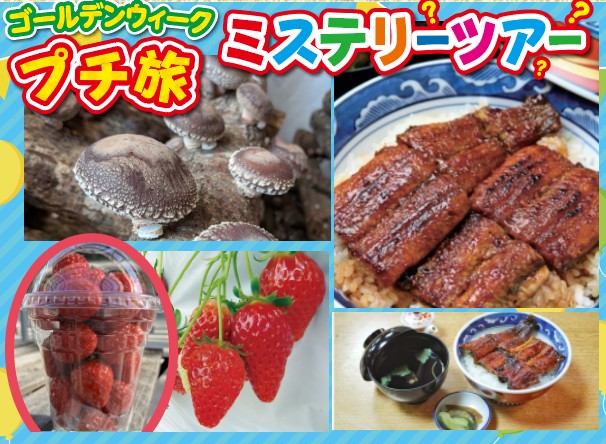 WEB予約3ポイント！日帰り/ゴールデンウィークプチ旅 ミステリーツアー