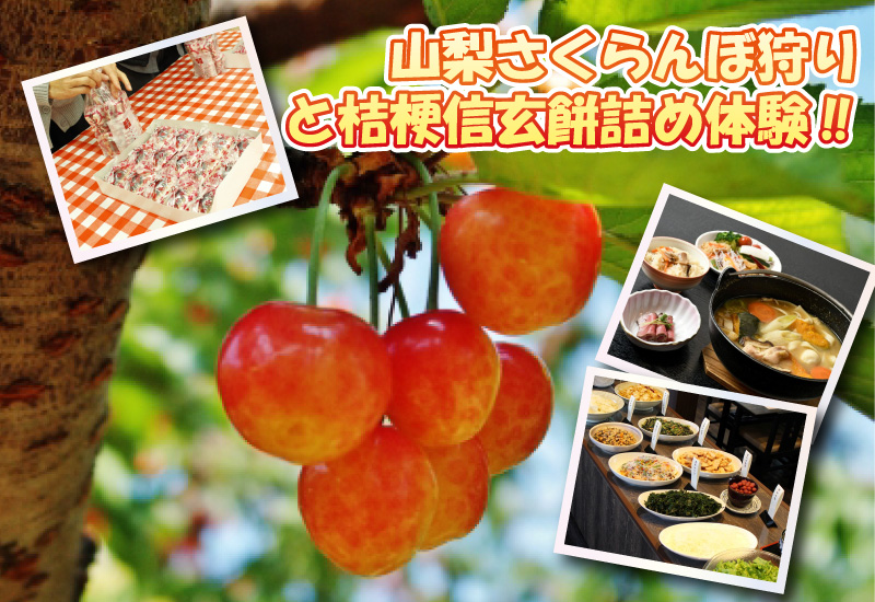 日帰り/山梨さくらんぼ狩りと桔梗信玄餅詰め体験‼