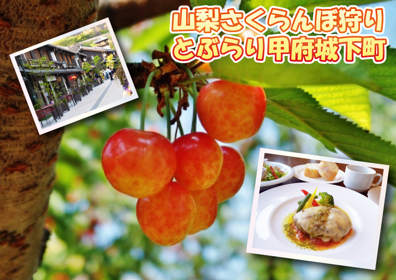 日帰り/山梨さくらんぼ狩りとぶらり甲府城下町（名古屋発）