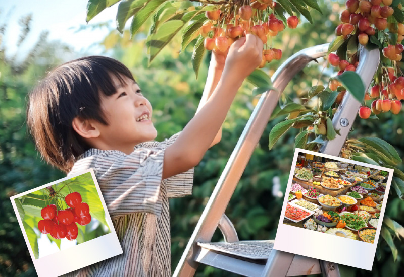 日帰り/南信州さくらんぼ狩りとちこり村ランチビュッフェ