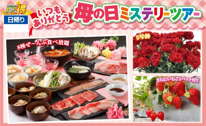 WEB予約3ポイント！日帰りいつもありがとう🎀母の日ミステリーツアー