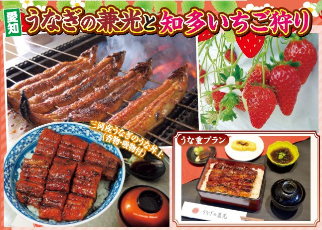 日帰り/愛知　うなぎの兼光と知多いちご狩り
