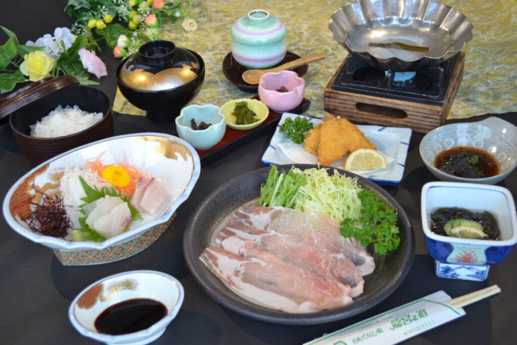 日帰り/田原ブランド豚しゃぶしゃぶ膳と伊良湖メロン狩り 全部で4玉付‼