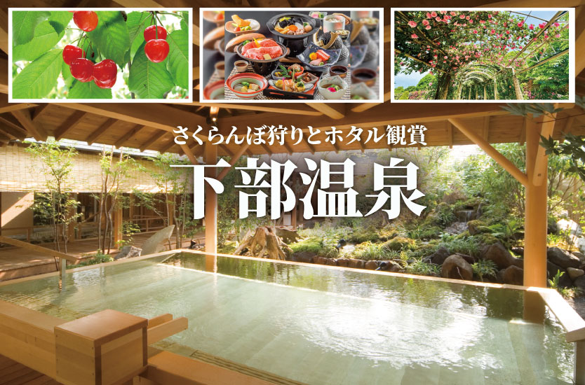 宿泊/安心のトイレ付バスで行く！さくらんぼ狩りとホタル観賞　下部温泉