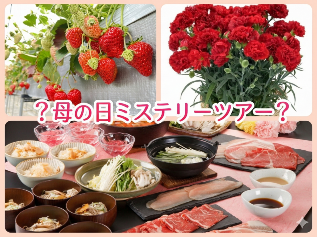 WEB予約3ポイント！日帰りいつもありがとう🎀母の日ミステリーツアー