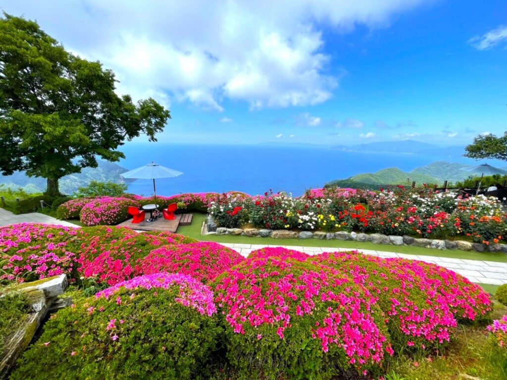 日帰り/三方五湖 久々子湖を歩こう＆バラ咲き誇るレインボーライン山頂公園