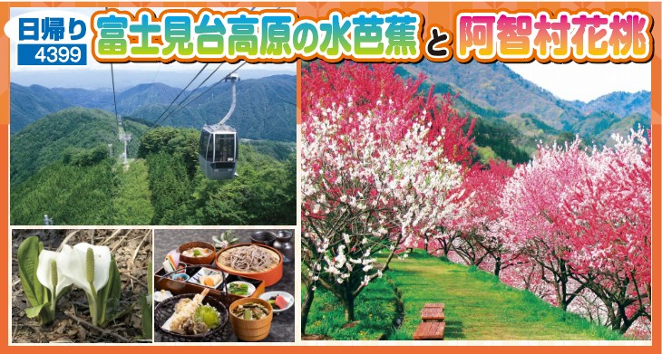 日帰り/富士見台高原の水芭蕉と阿智村花桃