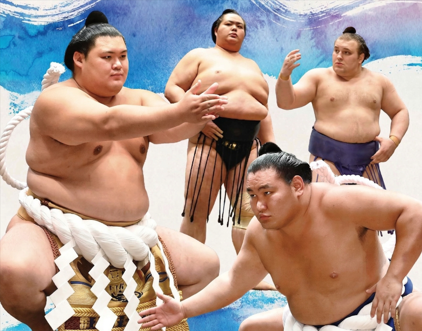 ＊日帰り弁当付＊令和八年夏巡業　大相撲岐阜場所