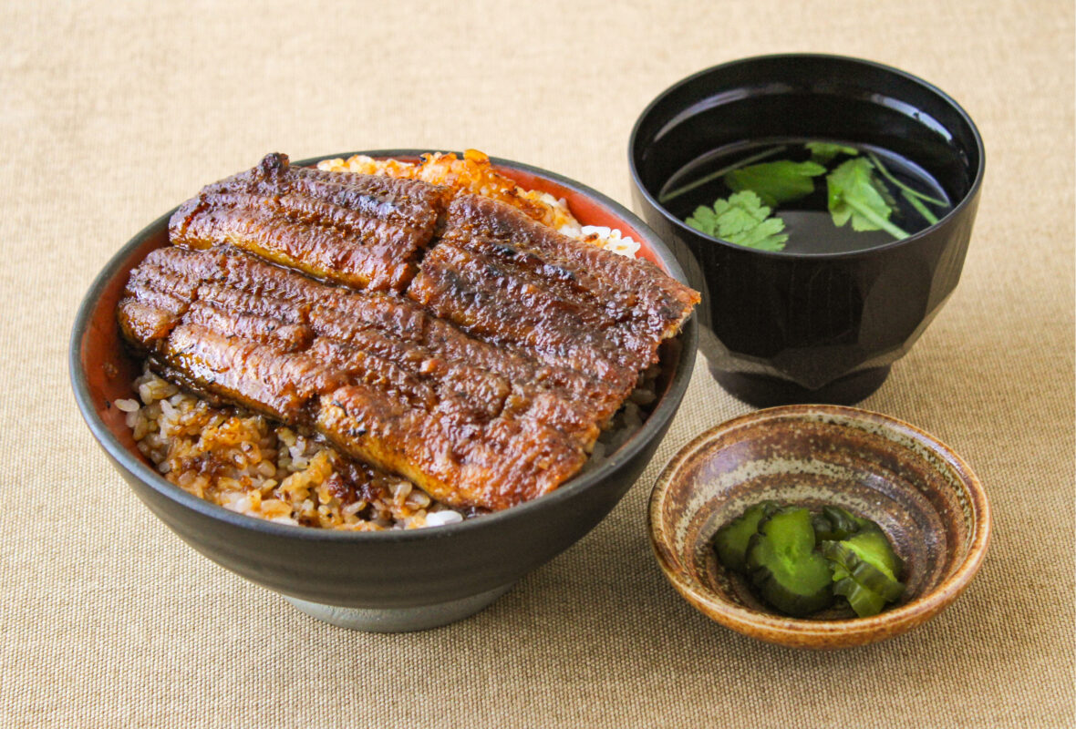 日帰り/伊良湖メロン狩りと選べる丼ランチ　全部で4玉付‼（岐阜・東濃）