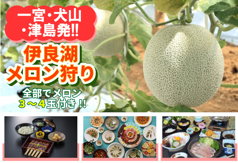 一宮・犬山・津島発！伊良湖メロン狩り３コース≪メロン全部で３～４玉付!!≫