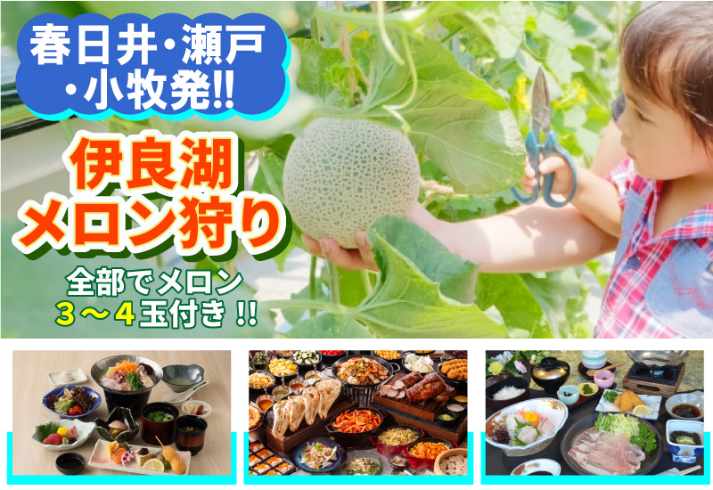 春日井・瀬戸・小牧発！伊良湖メロン狩り３コース≪メロン全部で３～４玉付!!≫