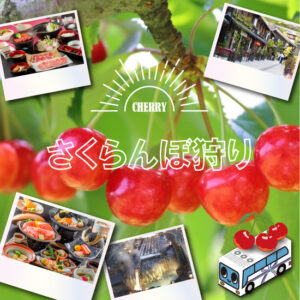 さくらんぼ狩り特集