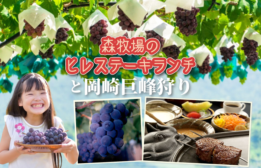日帰り/森牧場のステーキランチと岡崎巨峰狩り食べ放題