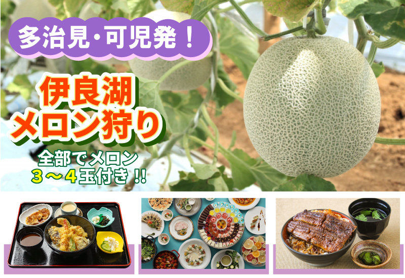 多治見・可児発！伊良湖メロン狩り３コース≪メロン全部で３～４玉付!!≫