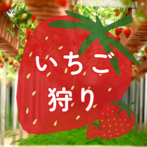 いちご狩り特集