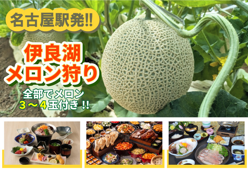 名古屋駅発！伊良湖メロン狩り３コース≪メロン全部で３～４玉付!!≫