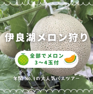 メロン狩り特集