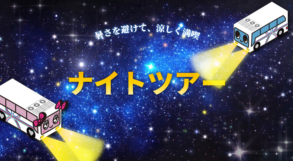 ナイトツアー