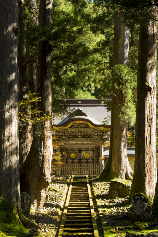 日帰り/涼を感じる福井旅　夏の永平寺と隠れた苔の名所！大塩八幡宮