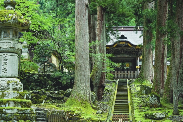 【日帰り】涼を感じる福井旅　夏の永平寺と隠れた苔の名所！大塩八幡宮