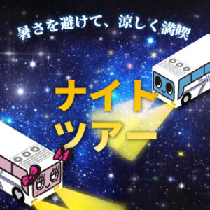 ナイトツアー